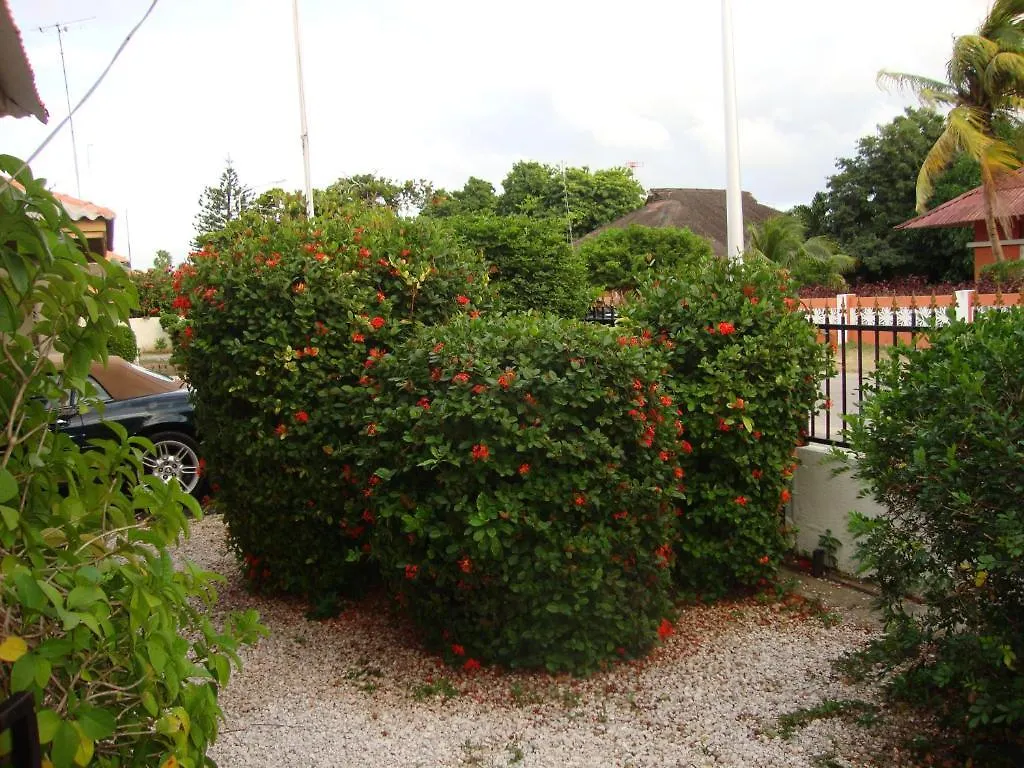 Irene Apartments Willemstad